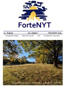 ForteNyt_nov._2025